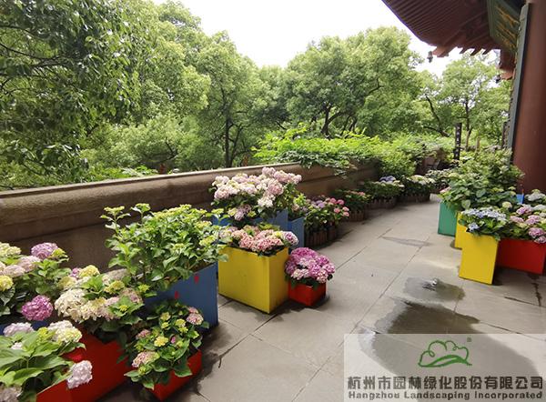 亚洲精品白浆高清久久久久久