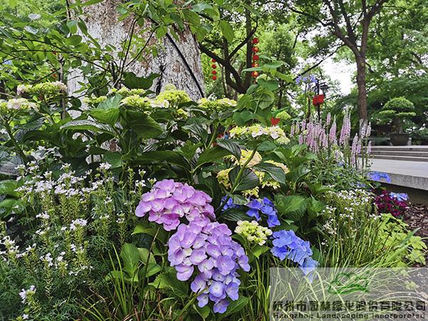 亚洲精品白浆高清久久久久久