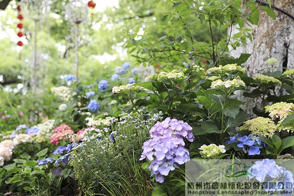 亚洲精品白浆高清久久久久久