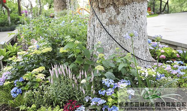 亚洲精品白浆高清久久久久久