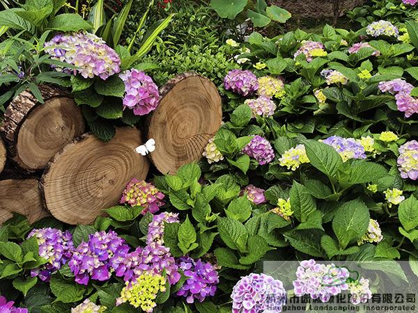 亚洲精品白浆高清久久久久久