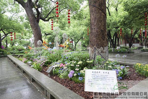 亚洲精品白浆高清久久久久久