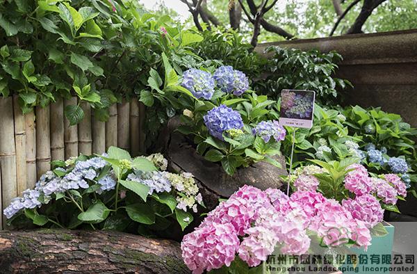 亚洲精品白浆高清久久久久久