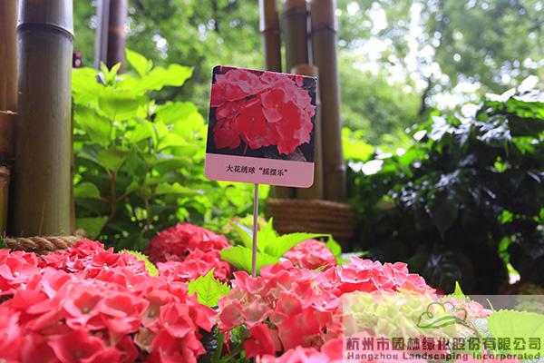 亚洲精品白浆高清久久久久久