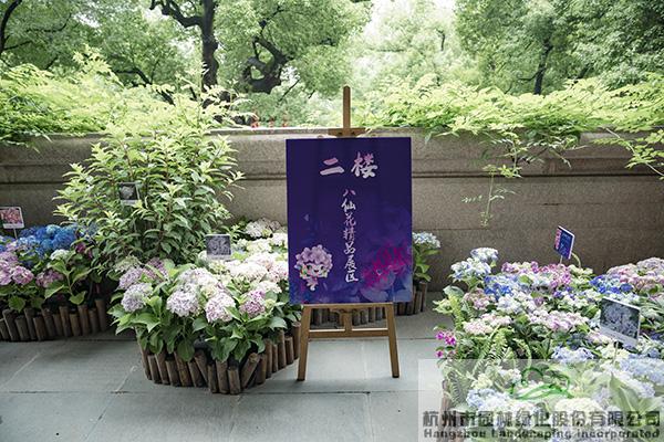 亚洲精品白浆高清久久久久久