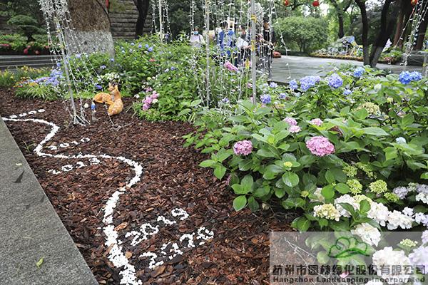 亚洲精品白浆高清久久久久久