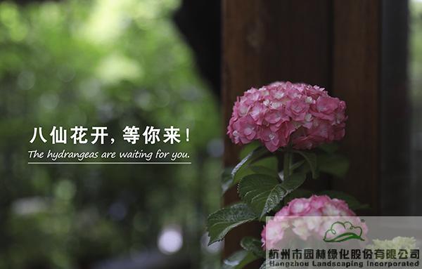 亚洲精品白浆高清久久久久久