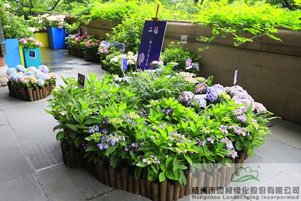 亚洲精品白浆高清久久久久久