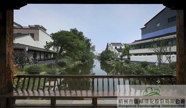 亚洲精品白浆高清久久久久久