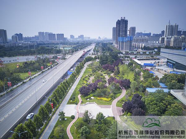 亚洲精品白浆高清久久久久久