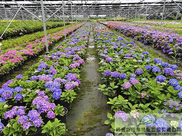 亚洲精品白浆高清久久久久久