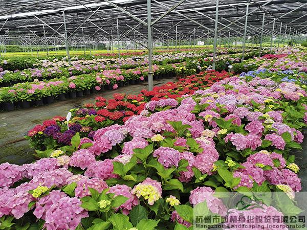 亚洲精品白浆高清久久久久久