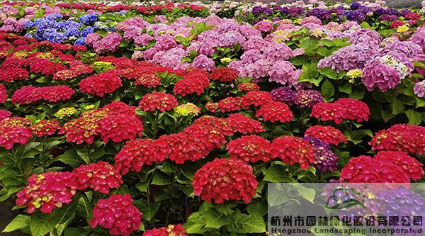 亚洲精品白浆高清久久久久久