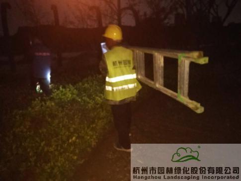 亚洲精品白浆高清久久久久久