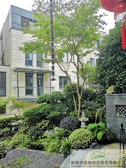 亚洲精品白浆高清久久久久久