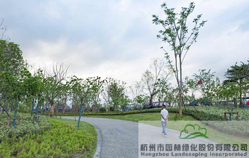 亚洲精品白浆高清久久久久久