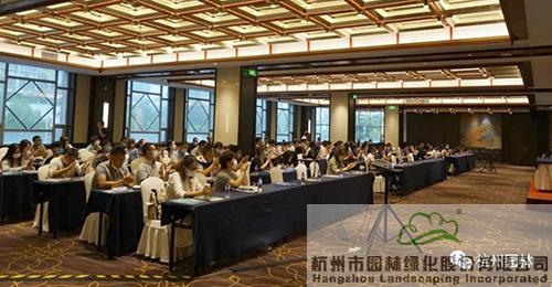 亚洲精品白浆高清久久久久久