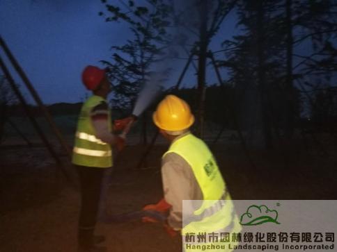 亚洲精品白浆高清久久久久久