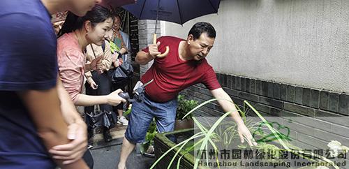 亚洲精品白浆高清久久久久久