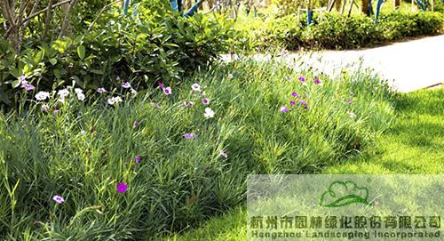 亚洲精品白浆高清久久久久久