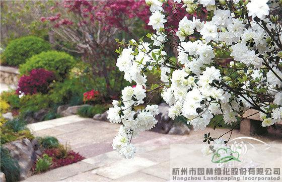 亚洲精品白浆高清久久久久久