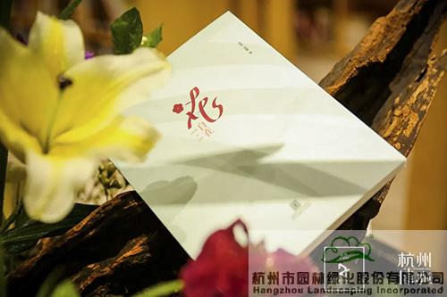 亚洲精品白浆高清久久久久久