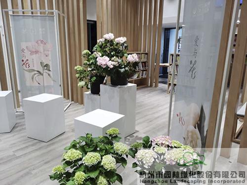 亚洲精品白浆高清久久久久久