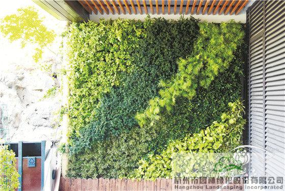 亚洲精品白浆高清久久久久久