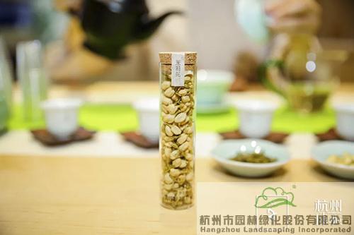 亚洲精品白浆高清久久久久久