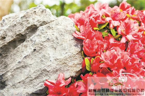 亚洲精品白浆高清久久久久久