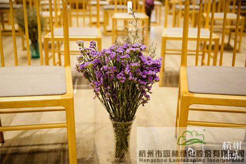 亚洲精品白浆高清久久久久久