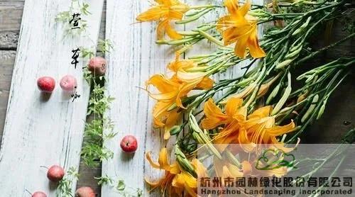 亚洲精品白浆高清久久久久久