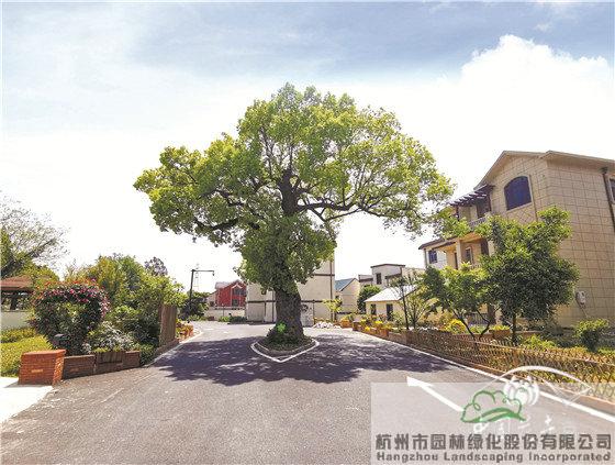 亚洲精品白浆高清久久久久久