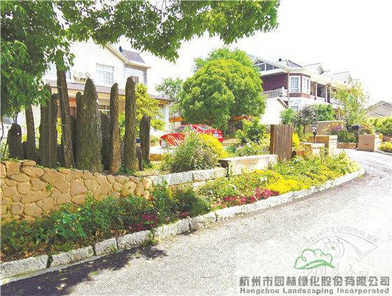 亚洲精品白浆高清久久久久久