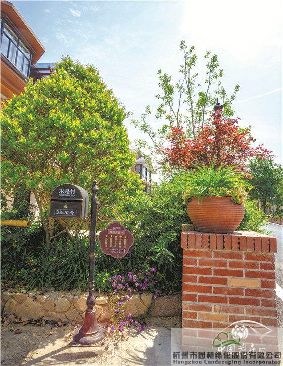 亚洲精品白浆高清久久久久久