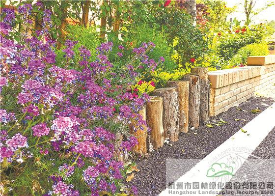 亚洲精品白浆高清久久久久久