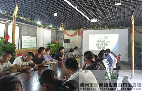 亚洲精品白浆高清久久久久久