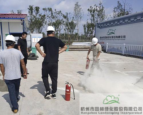 亚洲精品白浆高清久久久久久