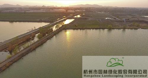 亚洲精品白浆高清久久久久久