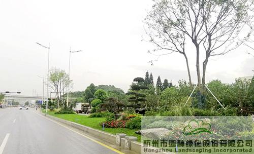 亚洲精品白浆高清久久久久久