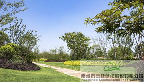 亚洲精品白浆高清久久久久久