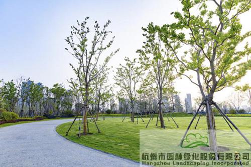 亚洲精品白浆高清久久久久久