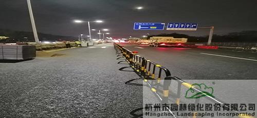 亚洲精品白浆高清久久久久久