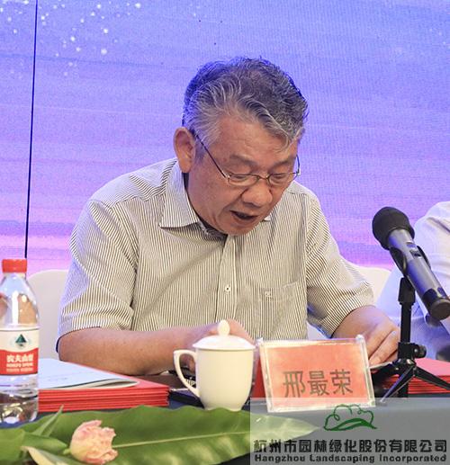 亚洲精品白浆高清久久久久久