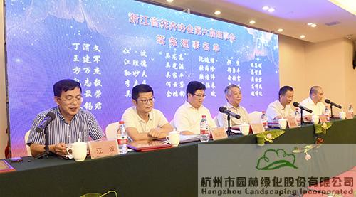 亚洲精品白浆高清久久久久久