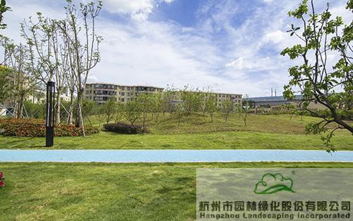 亚洲精品白浆高清久久久久久