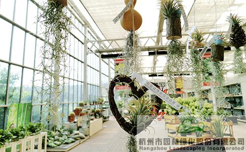 亚洲精品白浆高清久久久久久