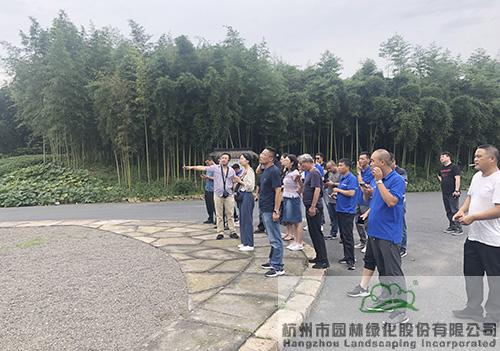 亚洲精品白浆高清久久久久久