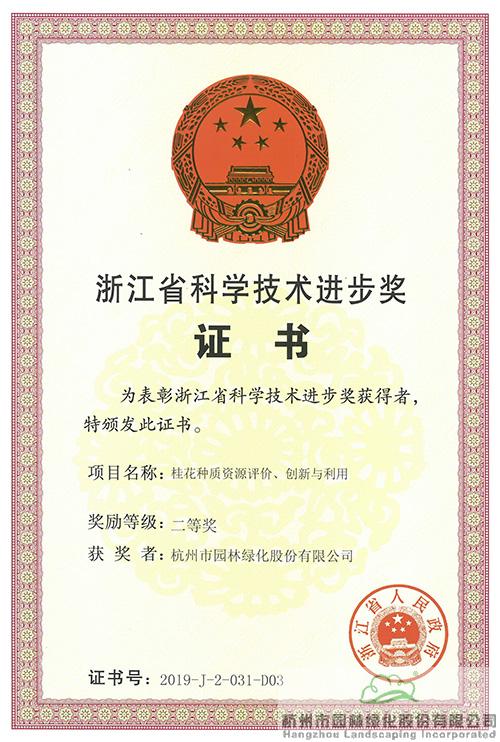 亚洲精品白浆高清久久久久久