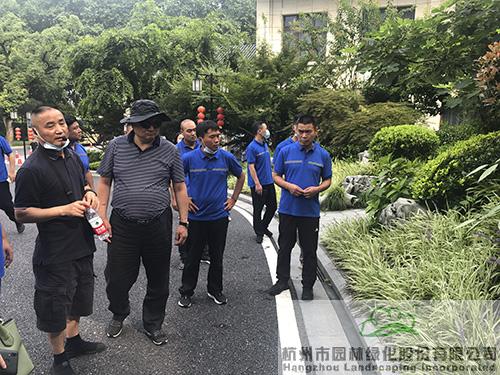 亚洲精品白浆高清久久久久久